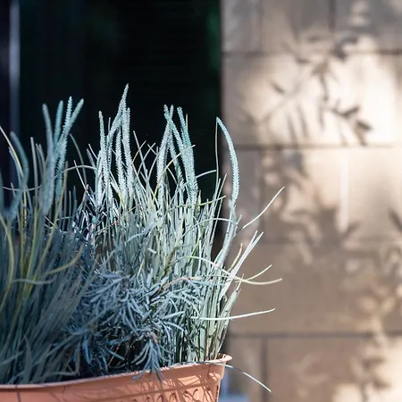 بيت للعطل Casa Onda Campomarino (Taranto)